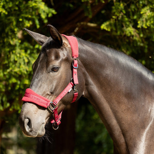 Proreaction Dura Fleece Headcollar Burgundy - Ashurst Equestrian & Country