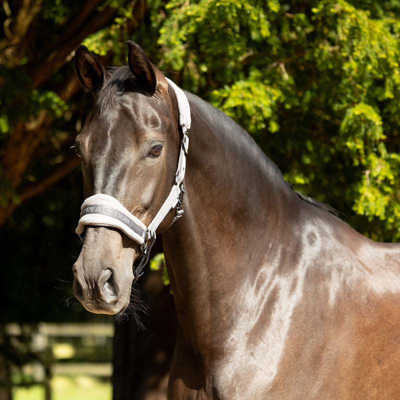 Load image into Gallery viewer, Proreaction Dura Fleece Headcollar Grey - Ashurst Equestrian &amp; Country
