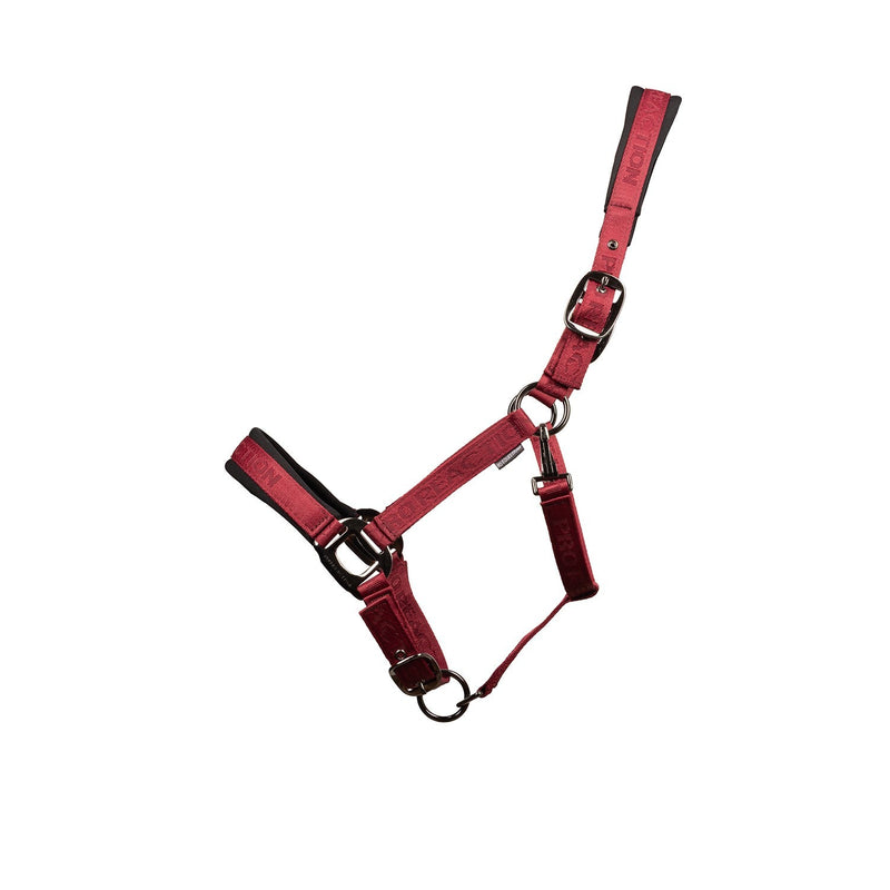 Load image into Gallery viewer, Proreaction Transform Headcollar Burgundy - Ashurst Equestrian &amp; Country
