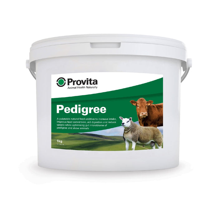 Provita Pedigree - Ashurst Equestrian & Country