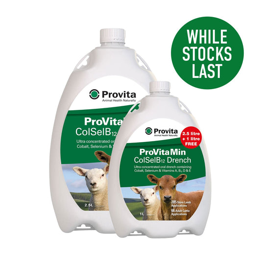 Provita Provitamin Colselb12 Promo Pack - Ashurst Equestrian & Country