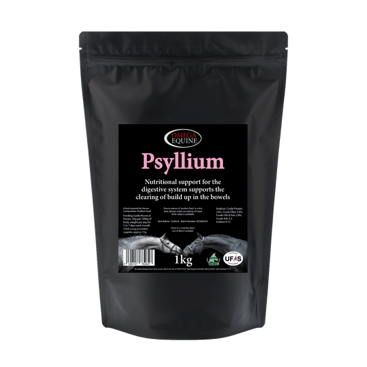 Psyllium - Ashurst Equestrian & Country