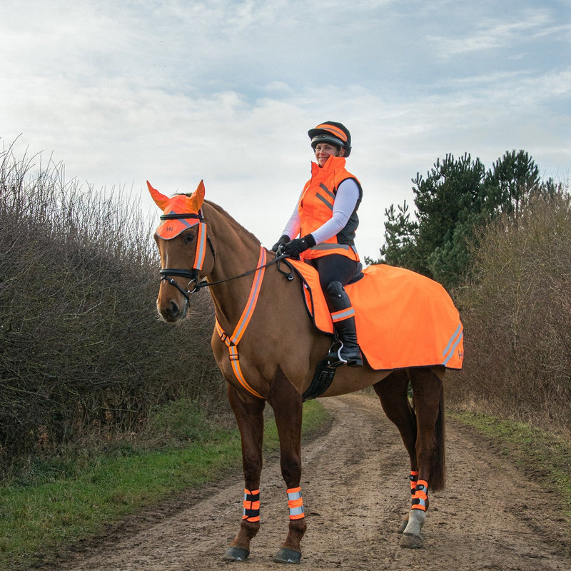 Load image into Gallery viewer, Reflector Arm/Leg Wraps By Hy Equestrian - Ashurst Equestrian &amp; Country
