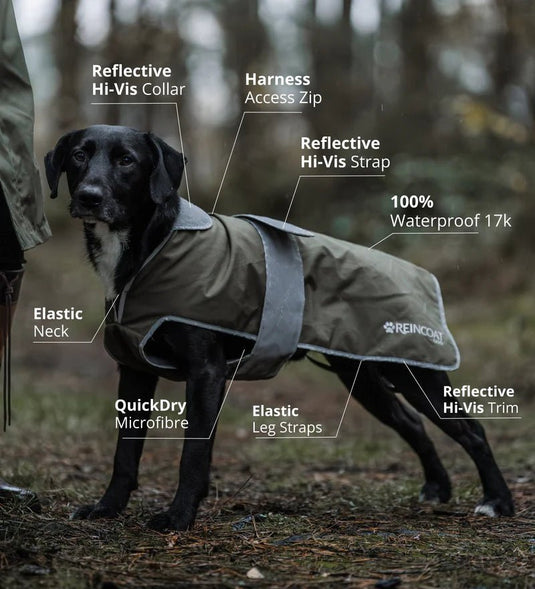 Reincoat Dog Coat - Ashurst Equestrian & Country