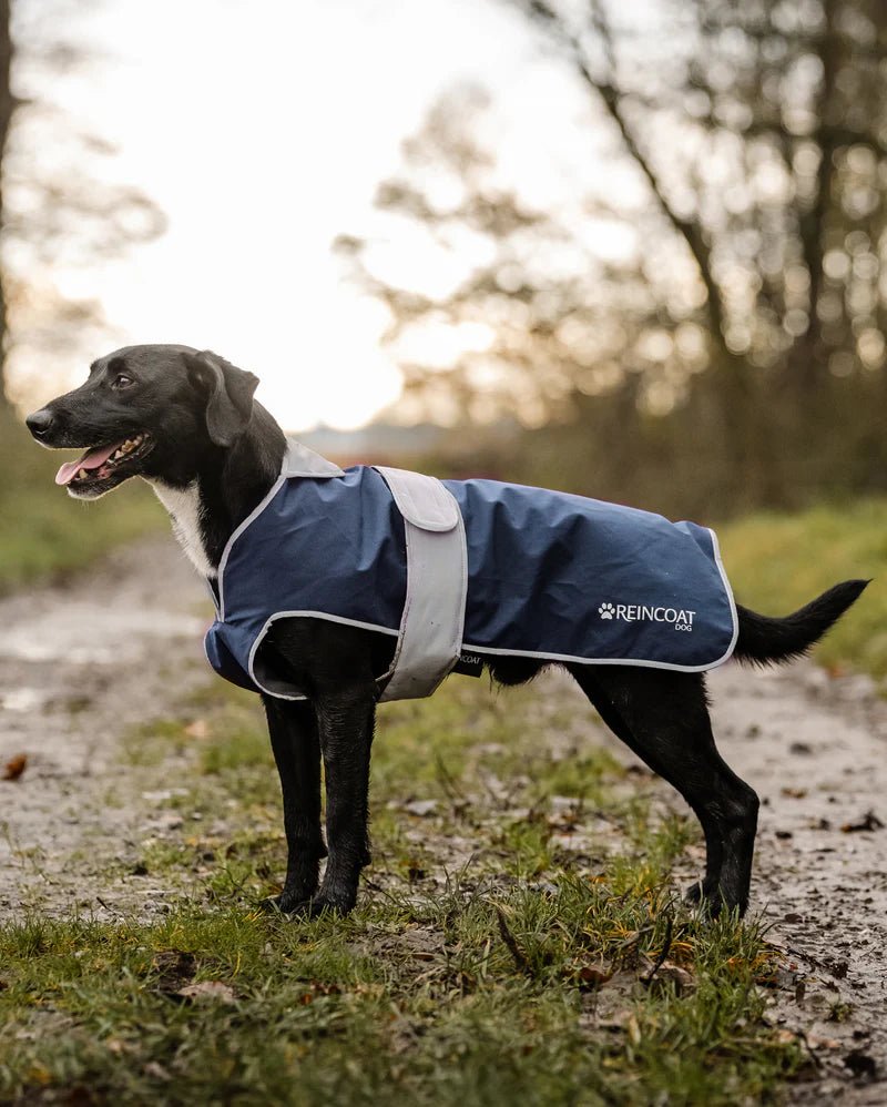 Load image into Gallery viewer, Reincoat Dog Coat - Ashurst Equestrian &amp; Country
