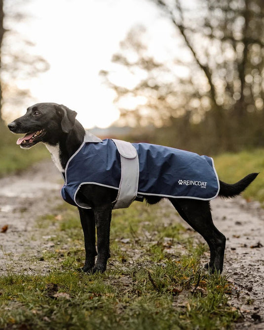 Reincoat Dog Coat - Ashurst Equestrian & Country