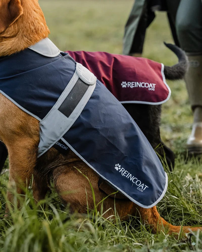 Load image into Gallery viewer, Reincoat Dog Coat - Ashurst Equestrian &amp; Country
