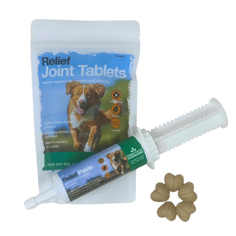 Load image into Gallery viewer, Relief Paste 60ml - Global Herbs - Canine - Ashurst Equestrian &amp; Country
