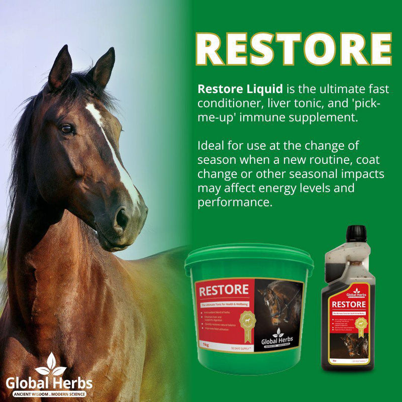 Load image into Gallery viewer, Restore - Global Herbs - Ashurst Equestrian &amp; Country
