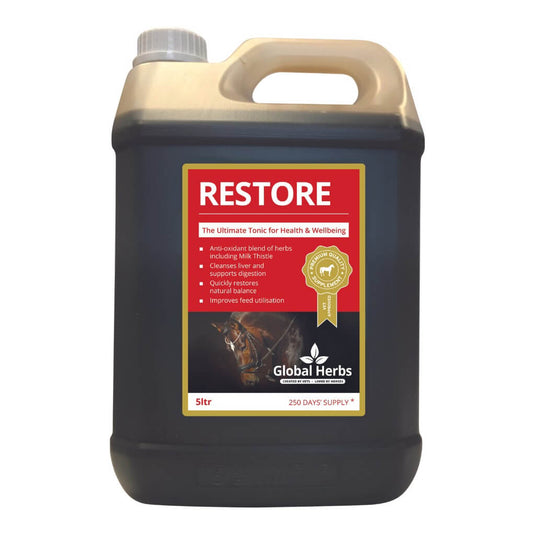 Restore liquid - Equine - Ashurst Equestrian & Country