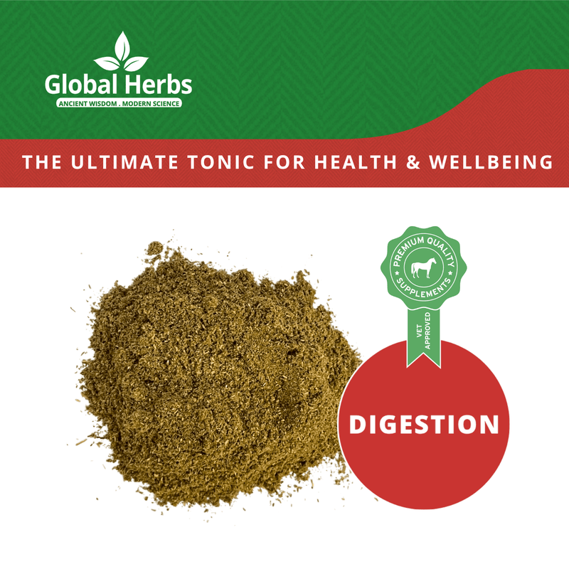 Load image into Gallery viewer, Restore Refill Pouch 750g - Global Herbs - Ashurst Equestrian &amp; Country
