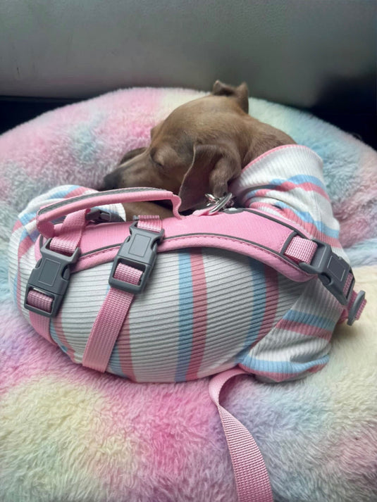 Ribbed Jersey Suit - Pink & Blue Stripe - Ashurst Equestrian & Country