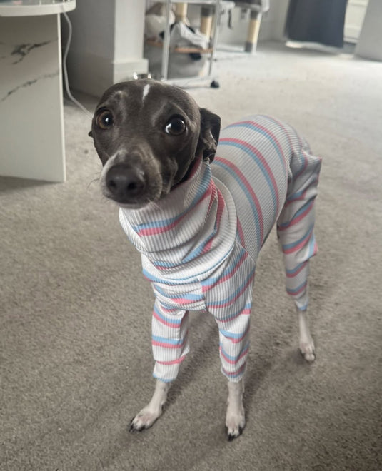 Ribbed Jersey Suit - Pink & Blue Stripe - Ashurst Equestrian & Country