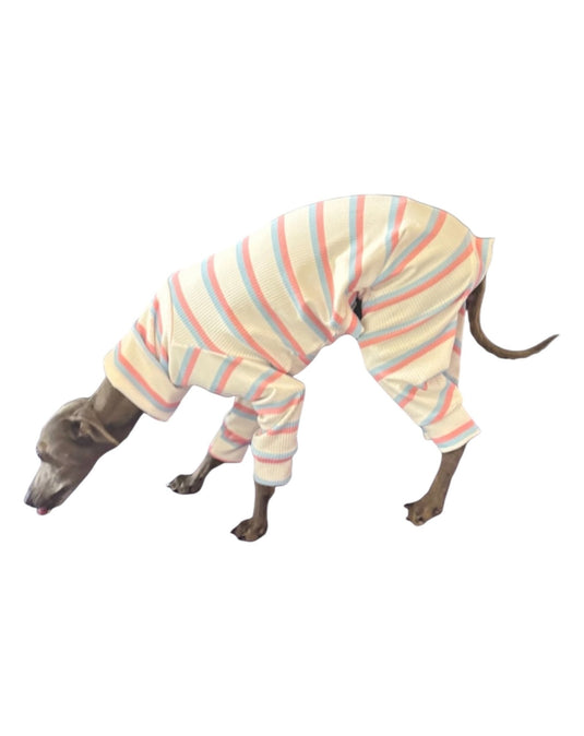 Ribbed Jersey Suit - Pink & Blue Stripe - Ashurst Equestrian & Country