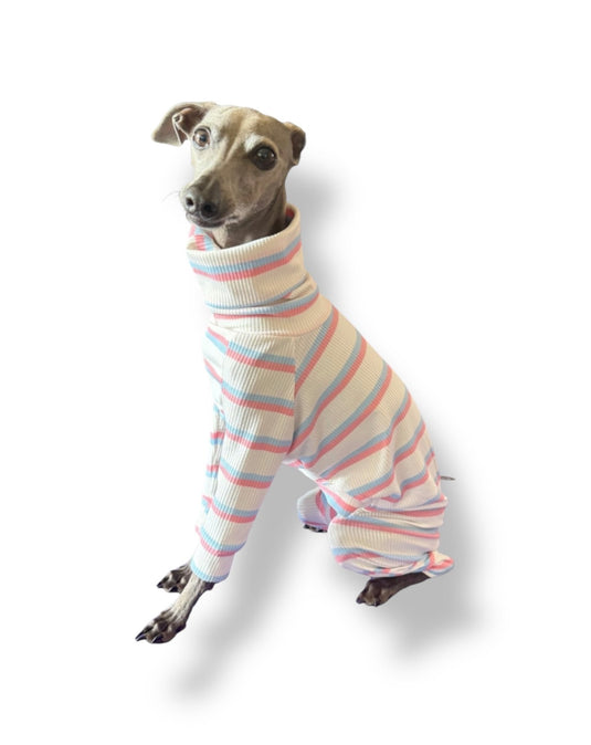 Ribbed Jersey Suit - Pink & Blue Stripe - Ashurst Equestrian & Country