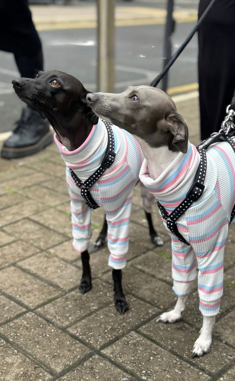 Load image into Gallery viewer, Ribbed Jersey Suit - Pink &amp; Blue Stripe - Ashurst Equestrian &amp; Country
