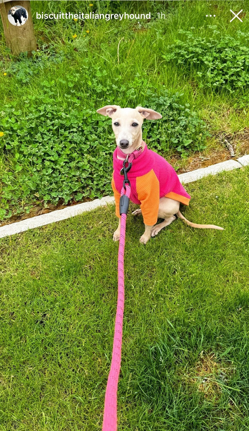 Load image into Gallery viewer, Ribbed Jersey T-Shirt - Fuchsia - Ashurst Equestrian &amp; Country
