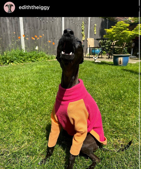 Ribbed Jersey T-Shirt - Fuchsia - Ashurst Equestrian & Country