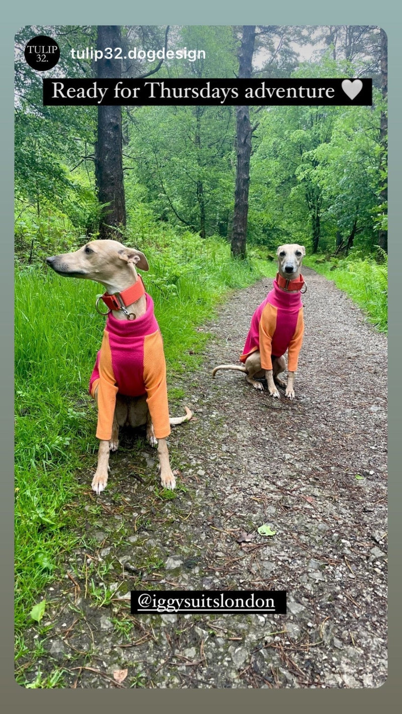 Load image into Gallery viewer, Ribbed Jersey T-Shirt - Fuchsia - Ashurst Equestrian &amp; Country
