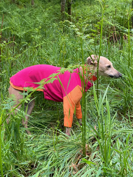 Ribbed Jersey T-Shirt - Fuchsia - Ashurst Equestrian & Country