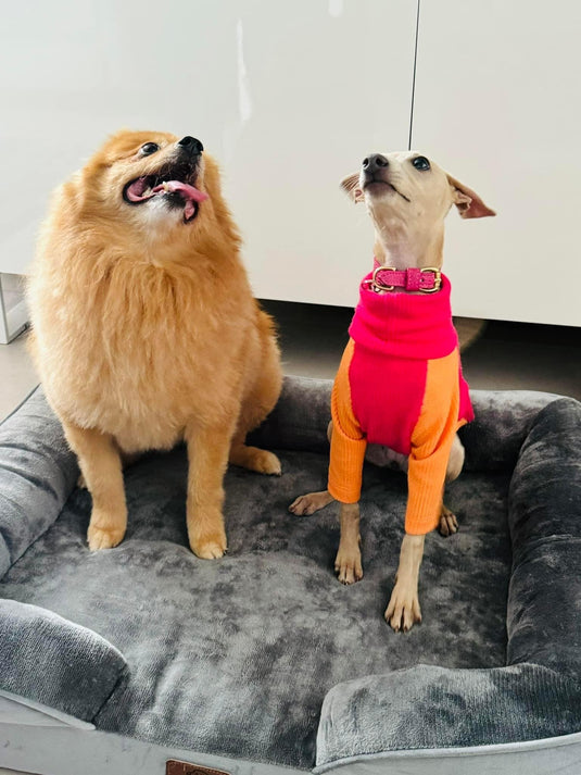 Ribbed Jersey T-Shirt - Fuchsia - Ashurst Equestrian & Country