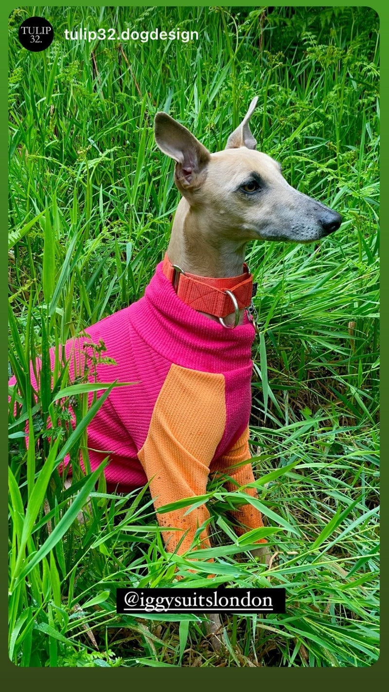 Load image into Gallery viewer, Ribbed Jersey T-Shirt - Fuchsia - Ashurst Equestrian &amp; Country
