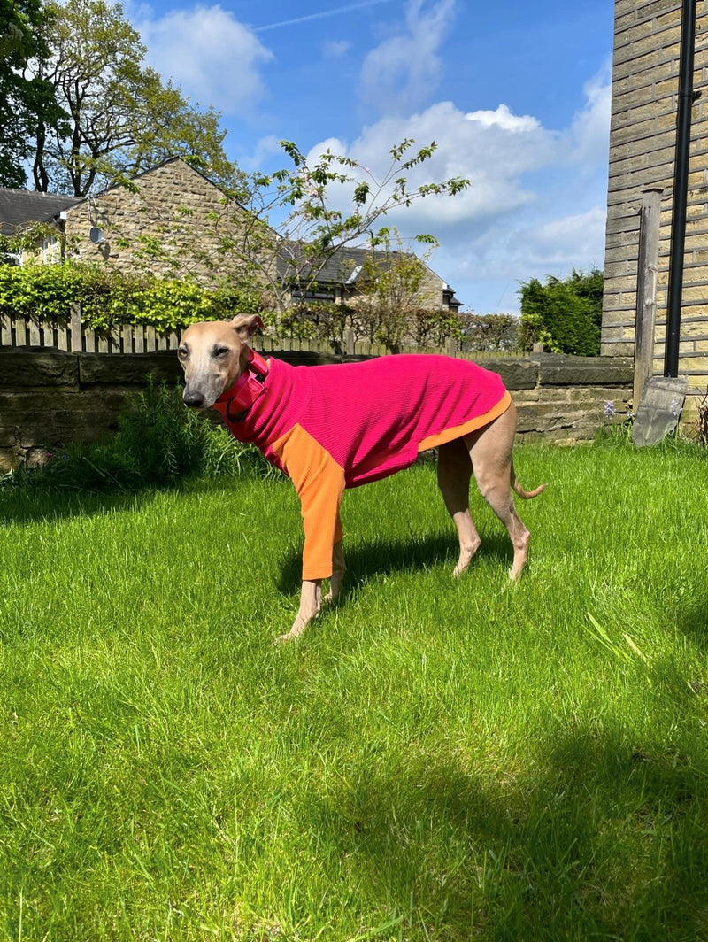 Load image into Gallery viewer, Ribbed Jersey T-Shirt - Fuchsia - Ashurst Equestrian &amp; Country

