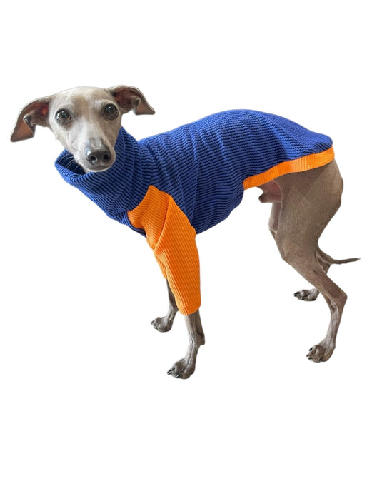 Ribbed Jersey T-Shirt - Orangina - Ashurst Equestrian & Country