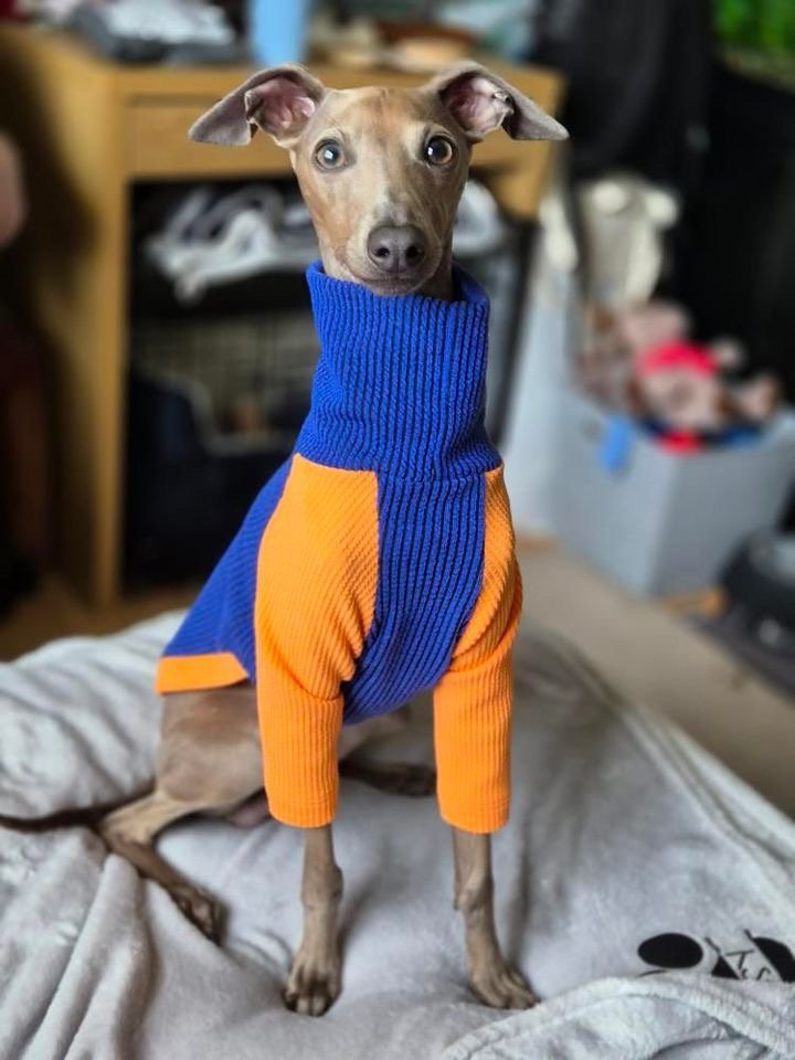 Load image into Gallery viewer, Ribbed Jersey T-Shirt - Orangina - Ashurst Equestrian &amp; Country
