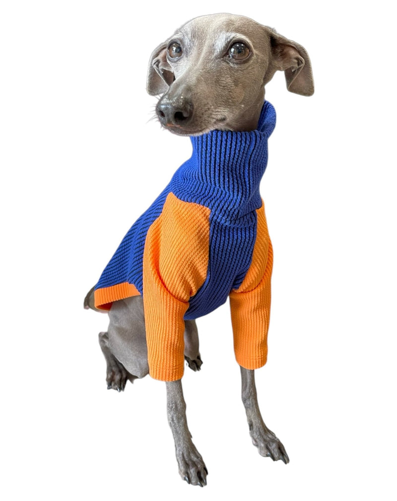 Load image into Gallery viewer, Ribbed Jersey T-Shirt - Orangina - Ashurst Equestrian &amp; Country
