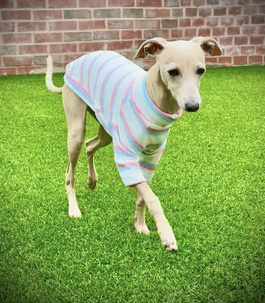Ribbed Jersey T-Shirt - Pink & Blue Stripe - Ashurst Equestrian & Country