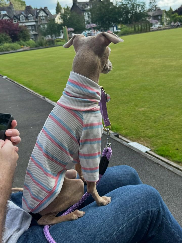 Load image into Gallery viewer, Ribbed Jersey T-Shirt - Pink &amp; Blue Stripe - Ashurst Equestrian &amp; Country
