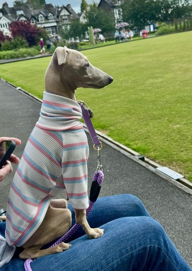 Load image into Gallery viewer, Ribbed Jersey T-Shirt - Pink &amp; Blue Stripe - Ashurst Equestrian &amp; Country
