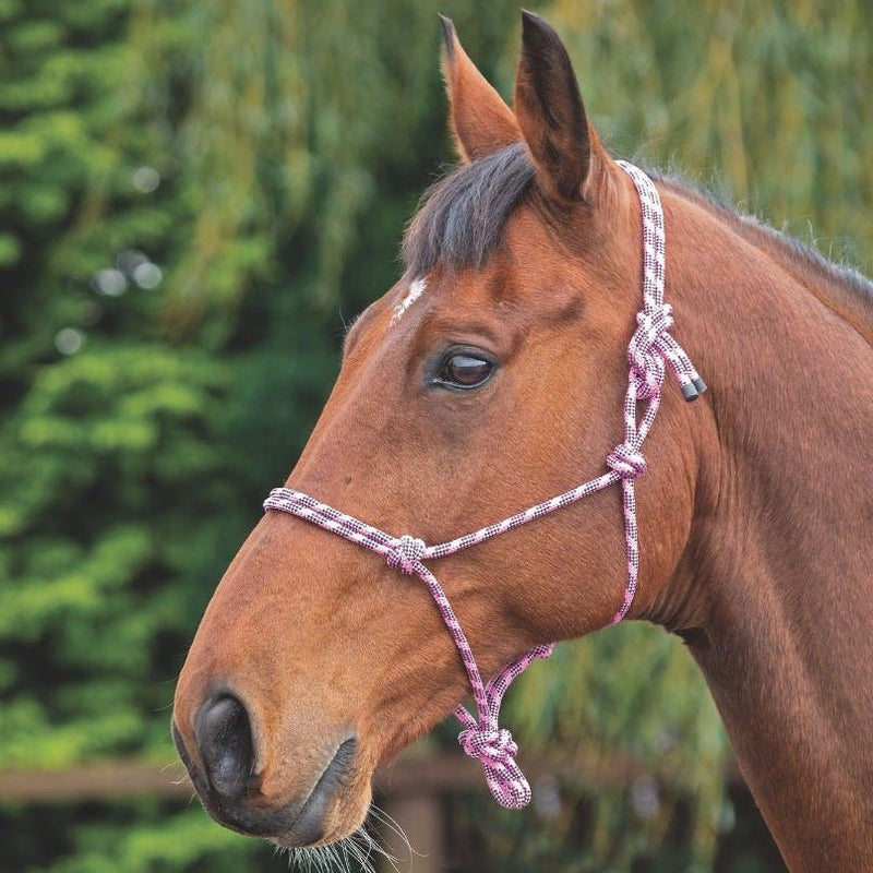 Load image into Gallery viewer, Rope Control Headcollar - Ashurst Equestrian &amp; Country
