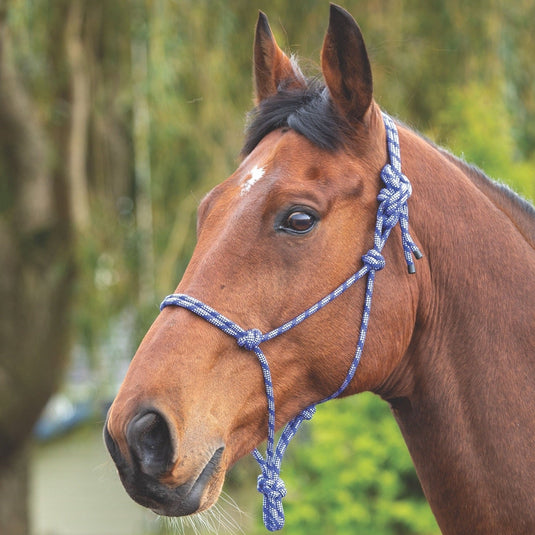Rope Control Headcollar - Ashurst Equestrian & Country