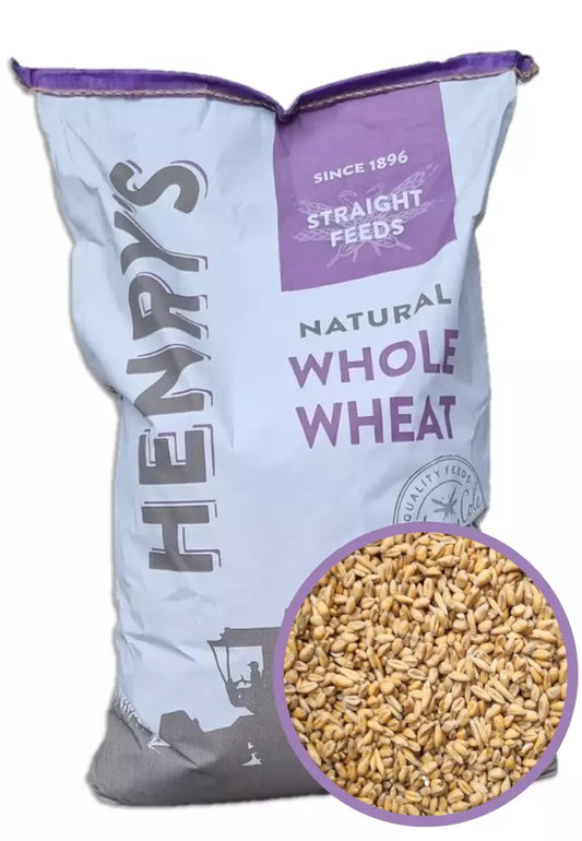 Whole Wheat 20kg
