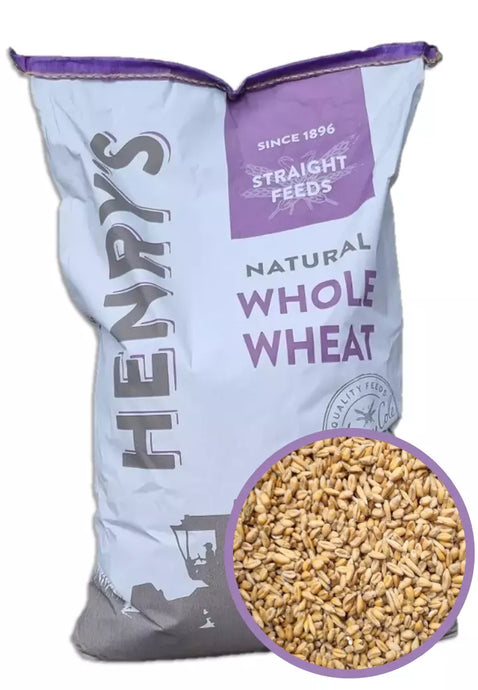 Whole Wheat 20kg