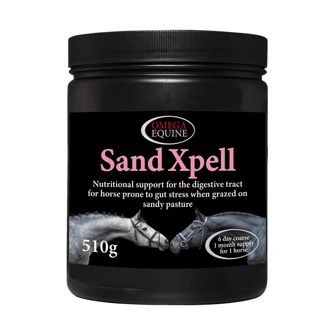 SandXpell - Ashurst Equestrian & Country