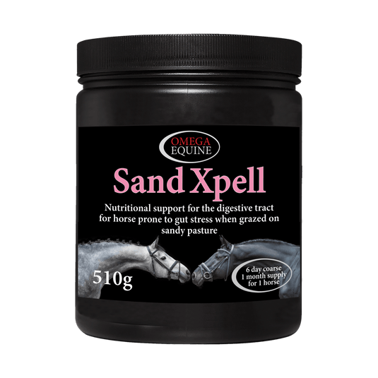 SandXpell - Ashurst Equestrian & Country