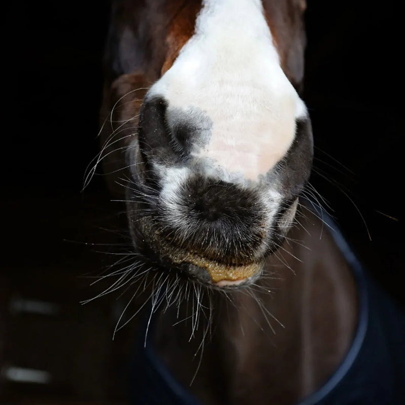 Load image into Gallery viewer, Saracen Recovery Mash 20kg - Ashurst Equestrian &amp; Country
