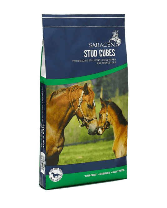 Saracen Stud Cubes 20kg - Ashurst Equestrian & Country