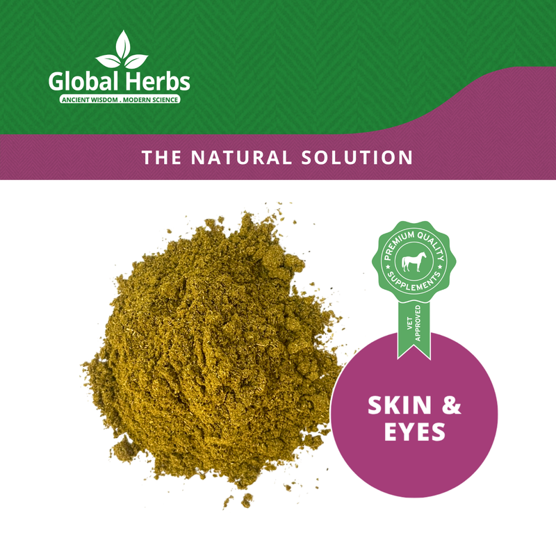 Load image into Gallery viewer, Sarc-Ex Refill Pouch 750g - Global Herbs
