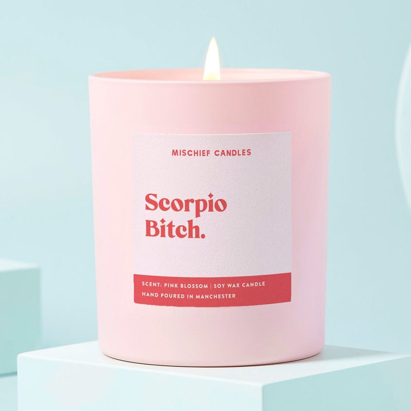 Load image into Gallery viewer, Scorpio Birthday Gift Funny Zodiac Candle Scorpio Bitch - Ashurst Equestrian &amp; Country
