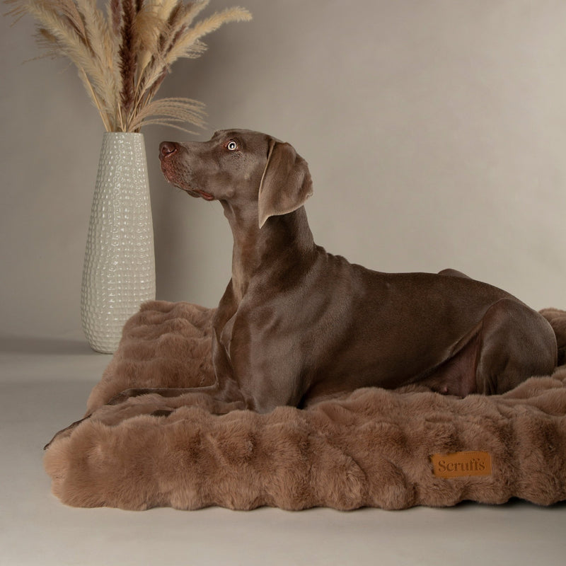 Load image into Gallery viewer, Scruffs Alpine Mattress Dog Beds - Ashurst Equestrian &amp; Country
