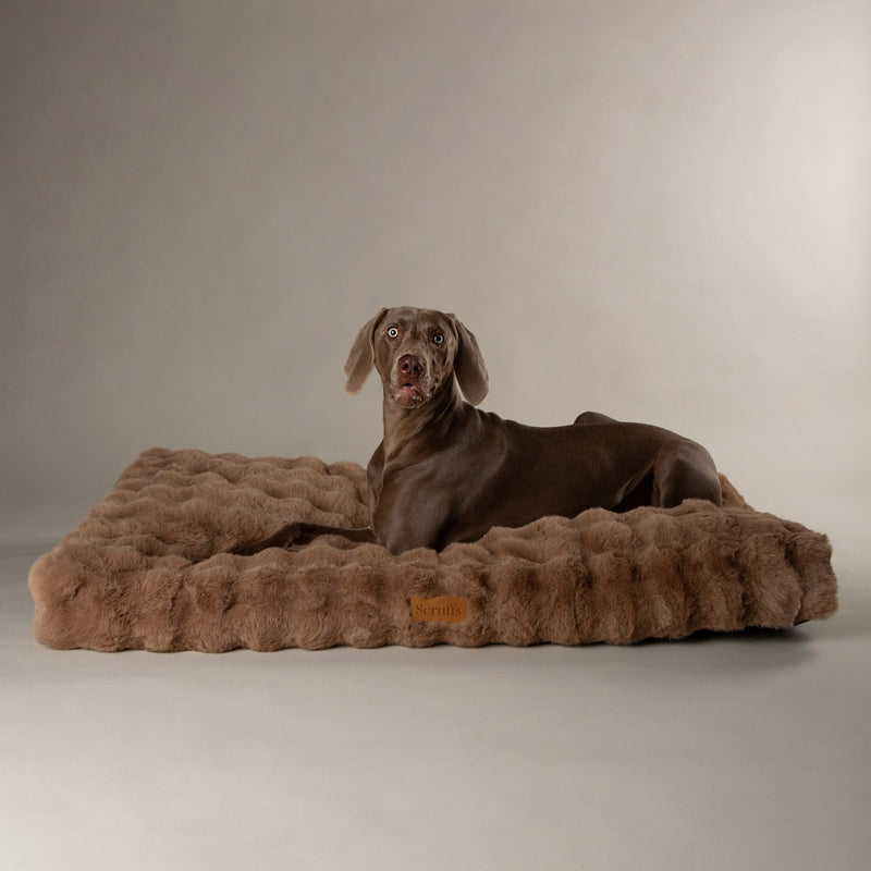 Load image into Gallery viewer, Scruffs Alpine Mattress Dog Beds - Ashurst Equestrian &amp; Country
