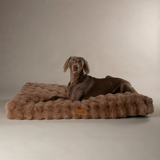 Scruffs Alpine Mattress Dog Beds - Ashurst Equestrian & Country