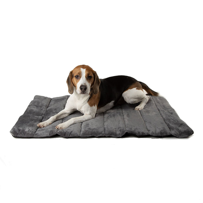 Scruffs Expedition Roll Up Travel Bed - Ashurst Equestrian & Country