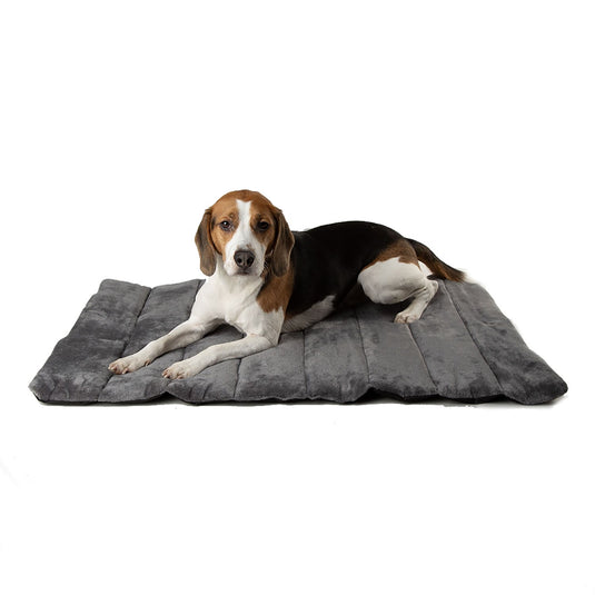 Scruffs Expedition Roll Up Travel Bed - Ashurst Equestrian & Country