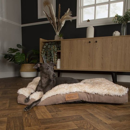 Scruffs Slumber Mattress - Assorted - Ashurst Equestrian & Country