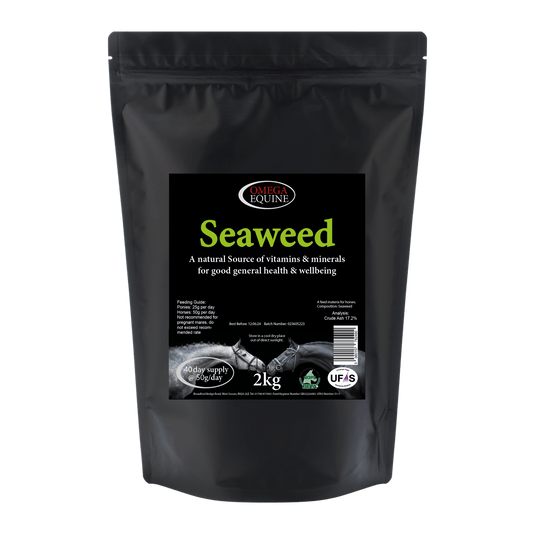 Seaweed - Ashurst Equestrian & Country